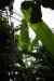 200908190083m.jpg - 2009:08:19 13:43:49