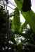 200908190084m.jpg - 2009:08:19 13:43:50