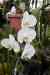 200908190089m.jpg - 2009:08:19 13:45:44