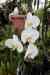 200908190090m.jpg - 2009:08:19 13:45:47