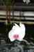 200908190099m.jpg - 2009:08:19 13:46:44