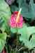 200908190108m.jpg - 2009:08:19 13:48:36