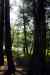 200908190149m.jpg - 2009:08:19 15:59:04