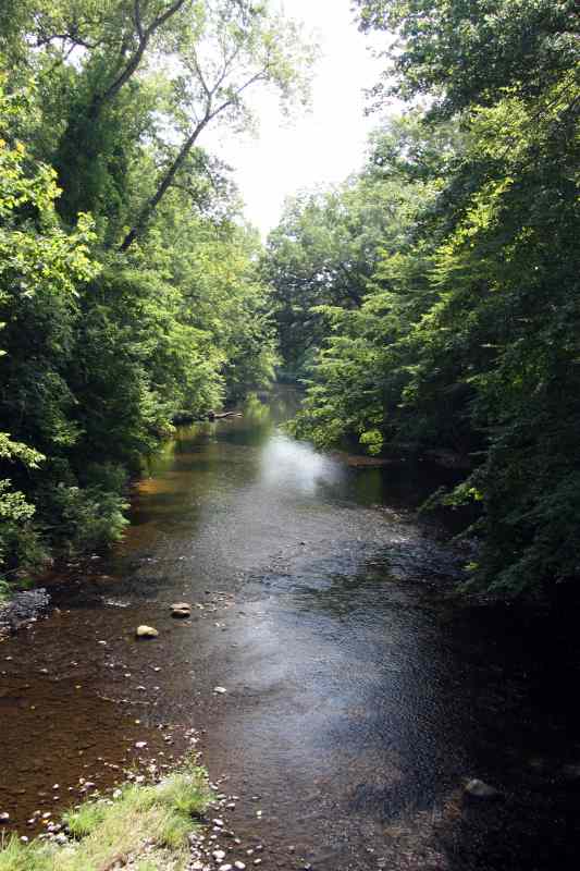 * Image 14