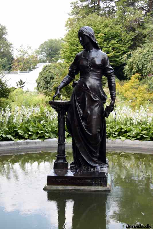 * Image 33