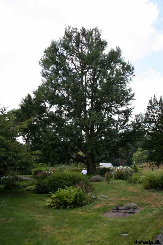 * Image 38