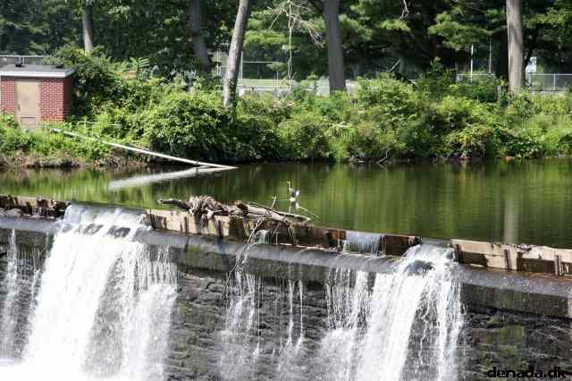 * Image 7