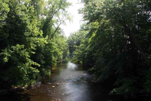 * Image 16
