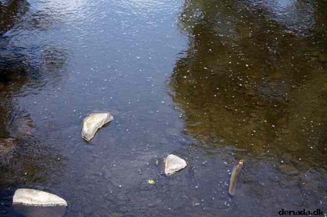 * Image 17