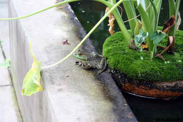 * Image 58