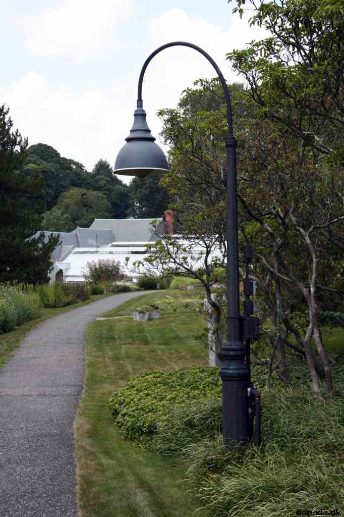 * Image 37