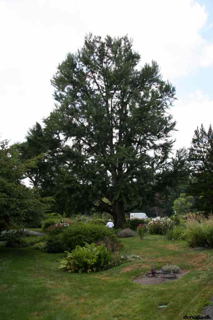 * Image 38