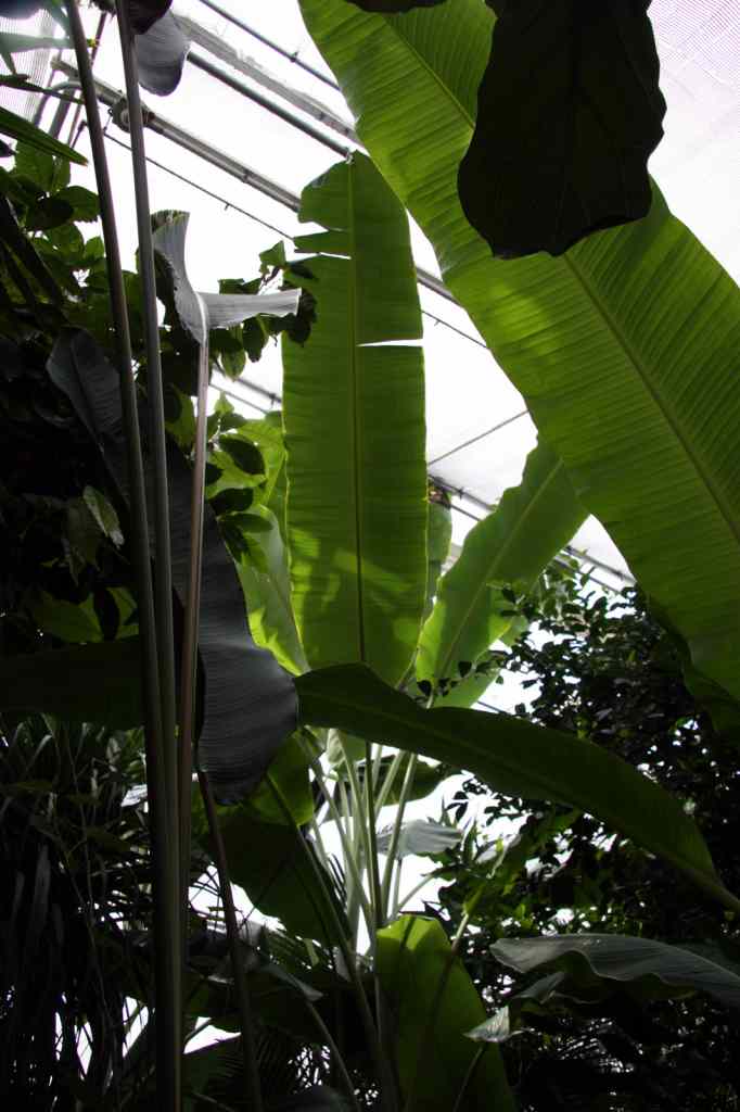 * Image 46