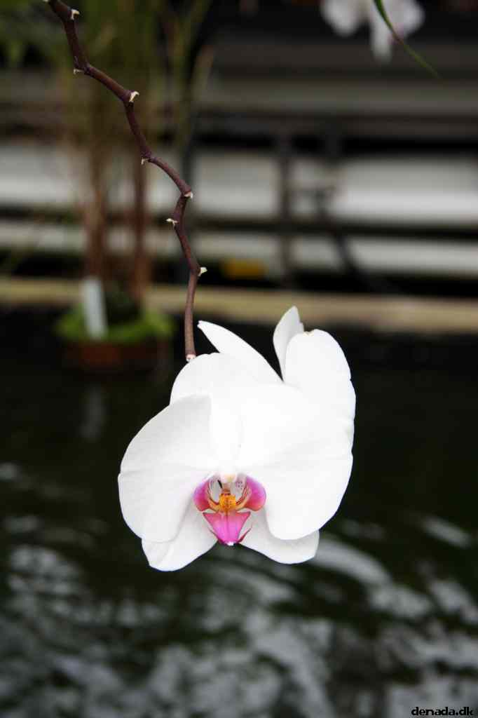 * Image 57