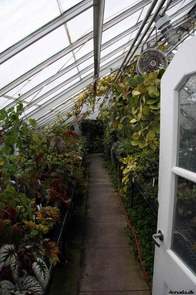 * Image 61