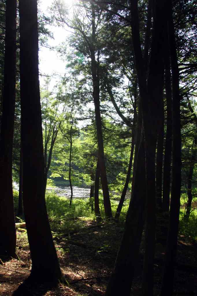 * Image 92