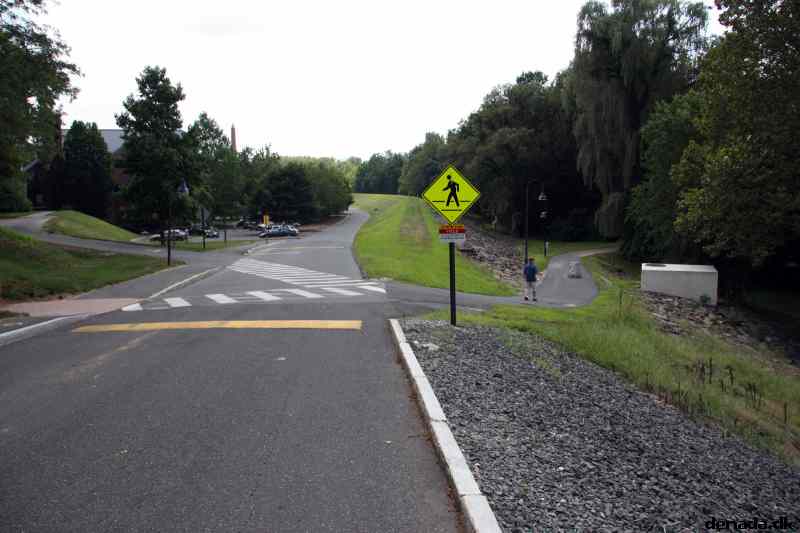 * Image 6