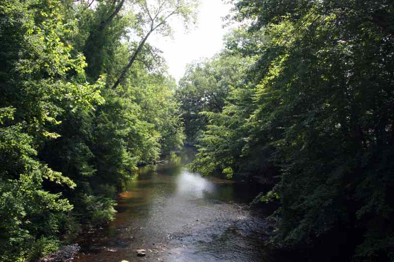 * Image 15