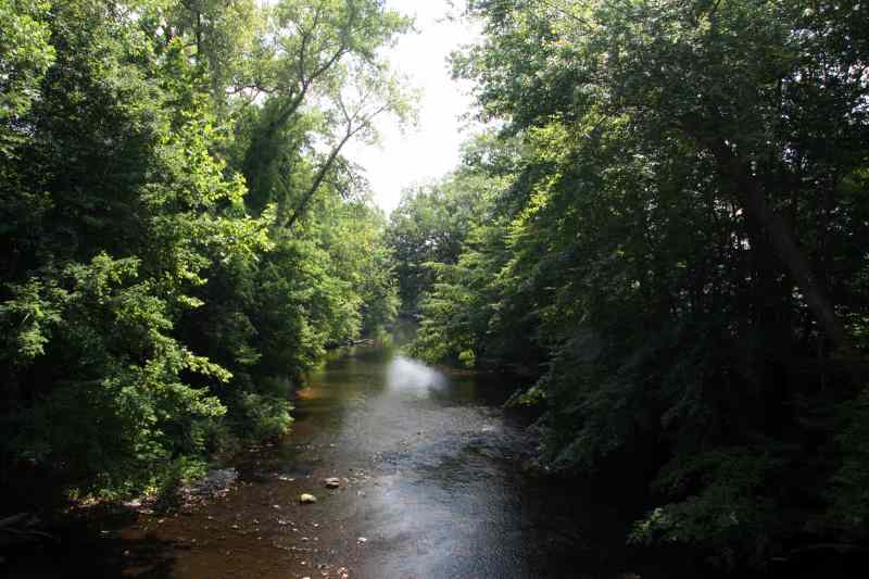* Image 16