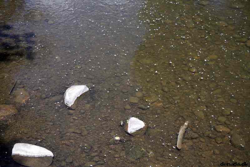 * Image 18