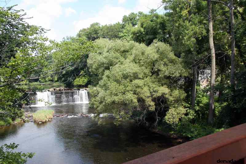 * Image 19
