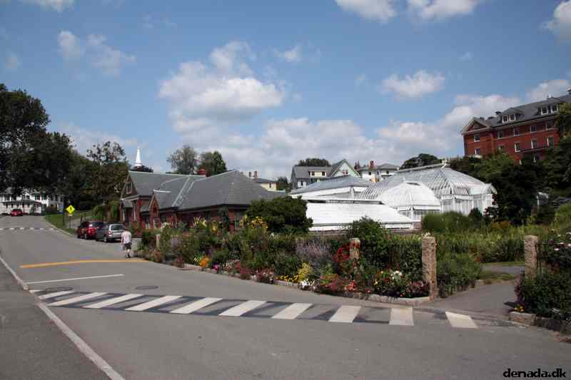 * Image 28