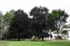 200908200066m.jpg - 2009:08:20 11:45:30