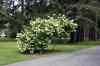 200908200067m.jpg - 2009:08:20 11:46:38