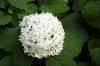 200908200071m.jpg - 2009:08:20 11:49:44