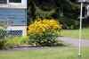 200908200102m.jpg - 2009:08:20 12:13:36