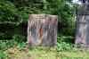 200908200126m.jpg - 2009:08:20 12:36:20