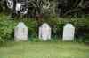 200908200129m.jpg - 2009:08:20 12:37:28