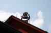 200908200154m.jpg - 2009:08:20 14:19:57