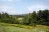200908200156m.jpg - 2009:08:20 14:20:27