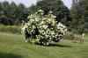 200908200158m.jpg - 2009:08:20 14:21:49