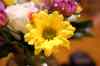 200908200194m.jpg - 2009:08:20 21:03:55
