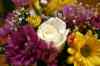 200908200197m.jpg - 2009:08:20 21:07:32
