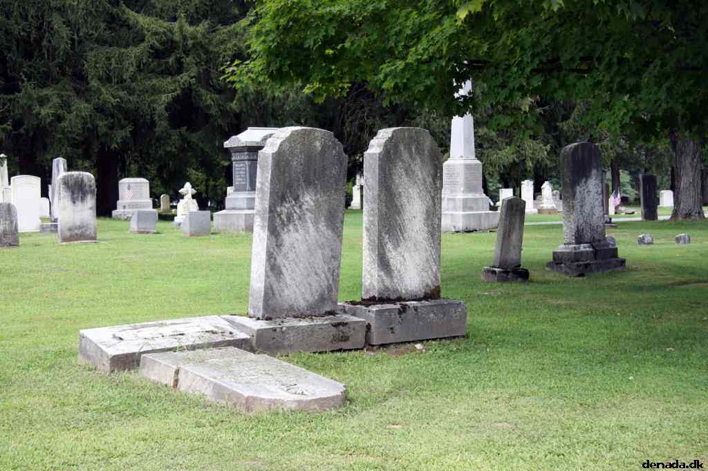 * Image 22