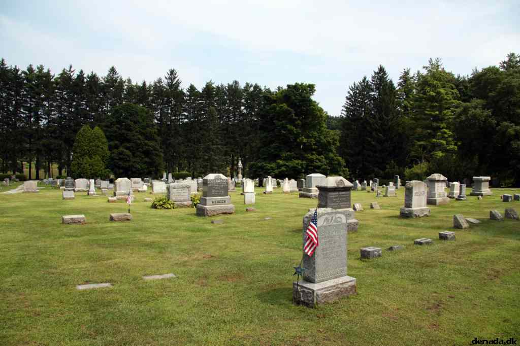 * Image 31