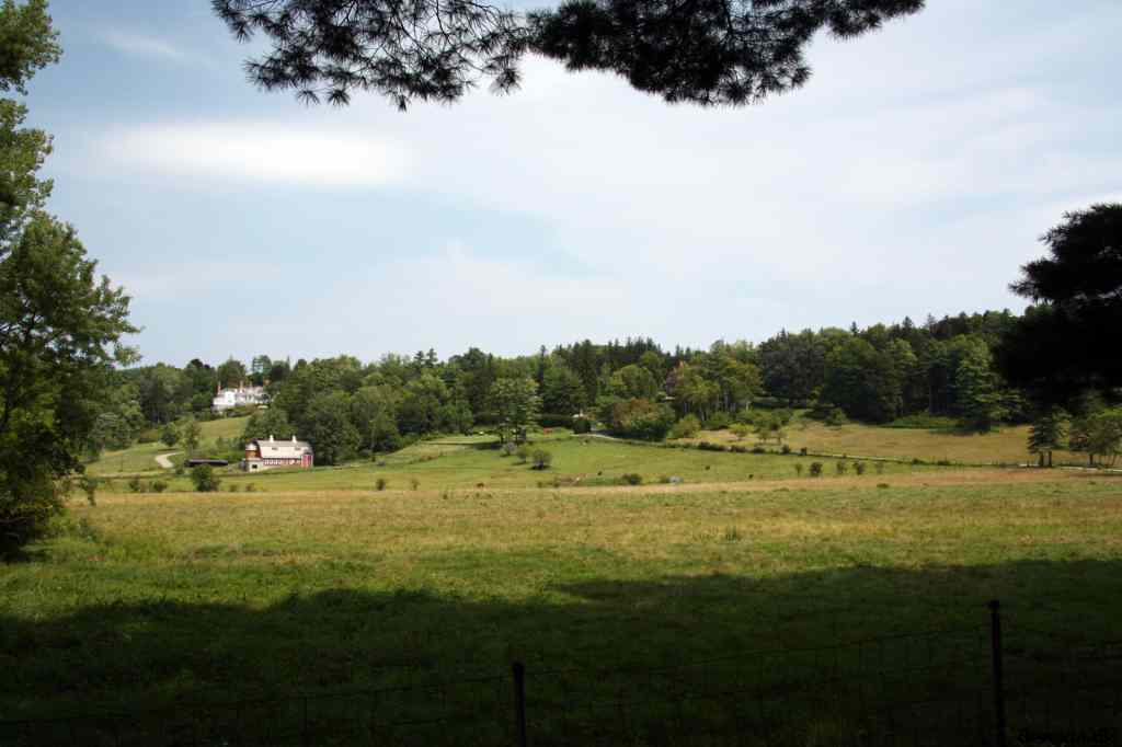 * Image 45