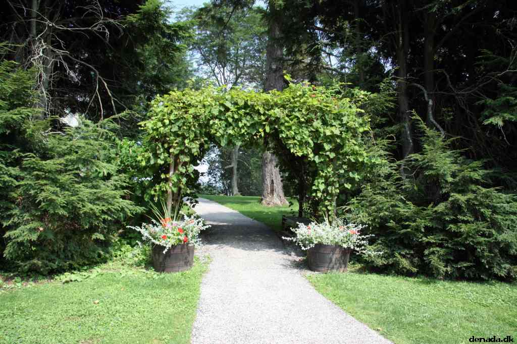 * Image 78