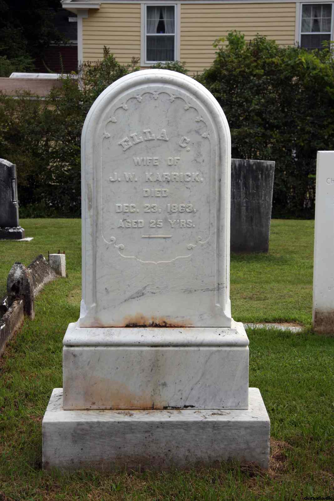 * Image 15