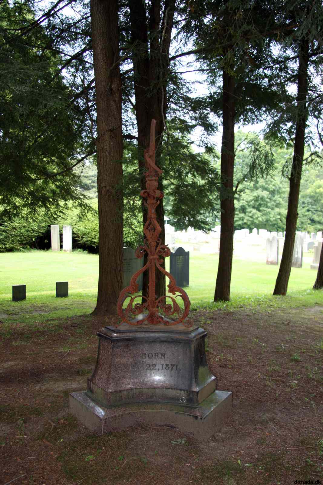 * Image 28