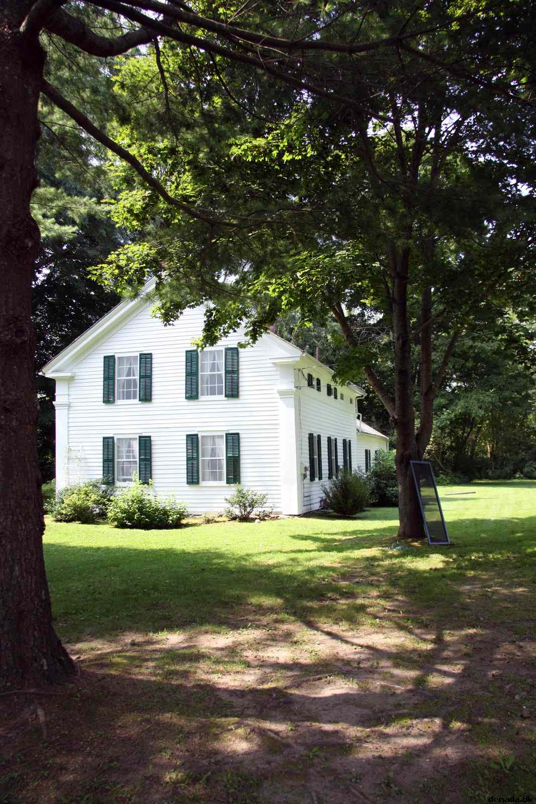 * Image 41
