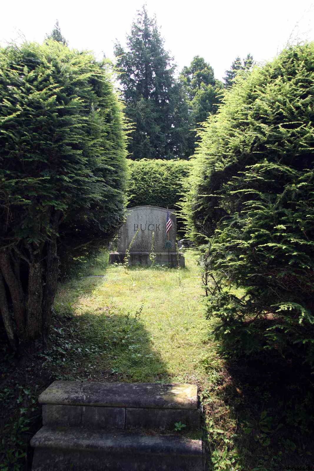 * Image 58