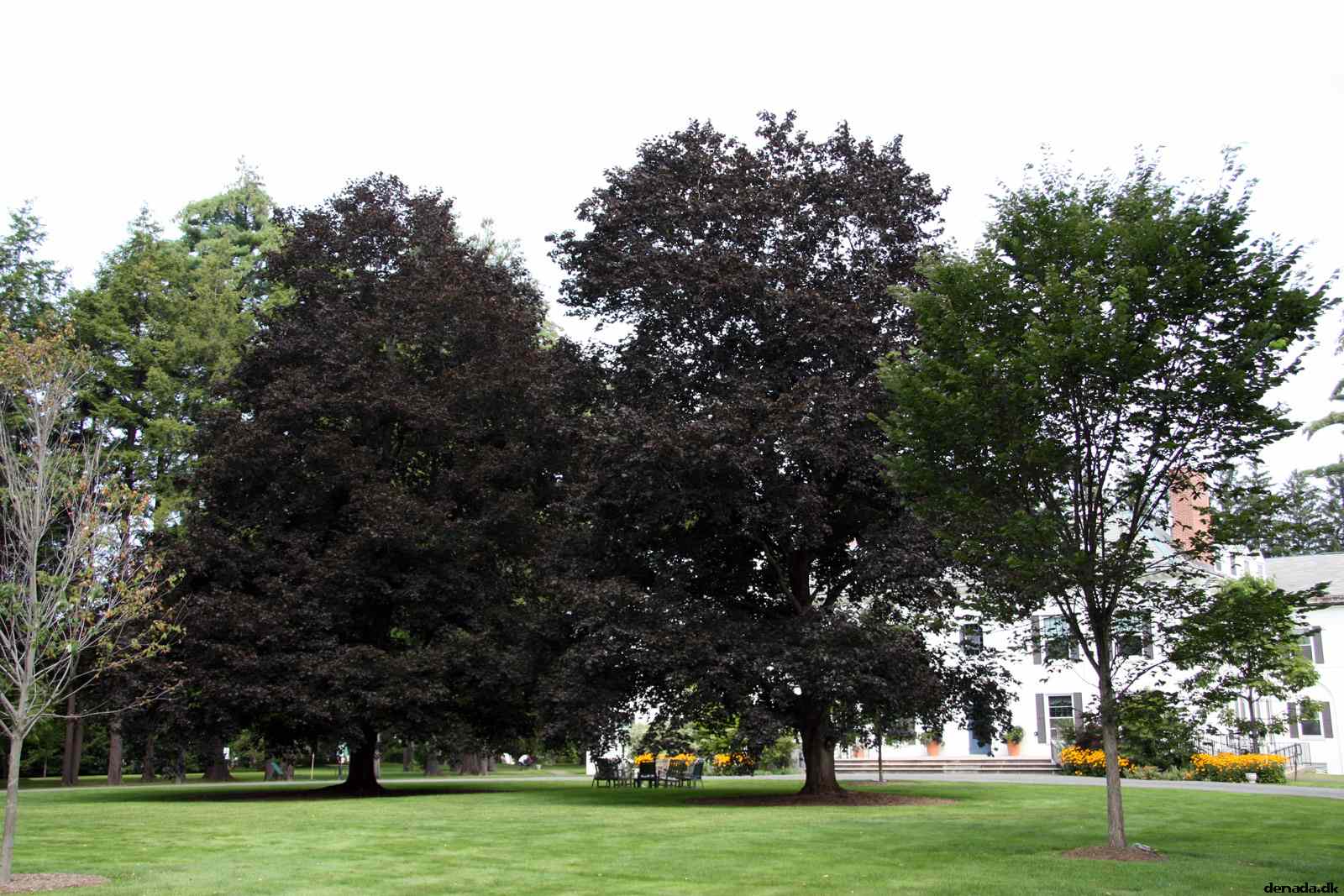 * Image 10