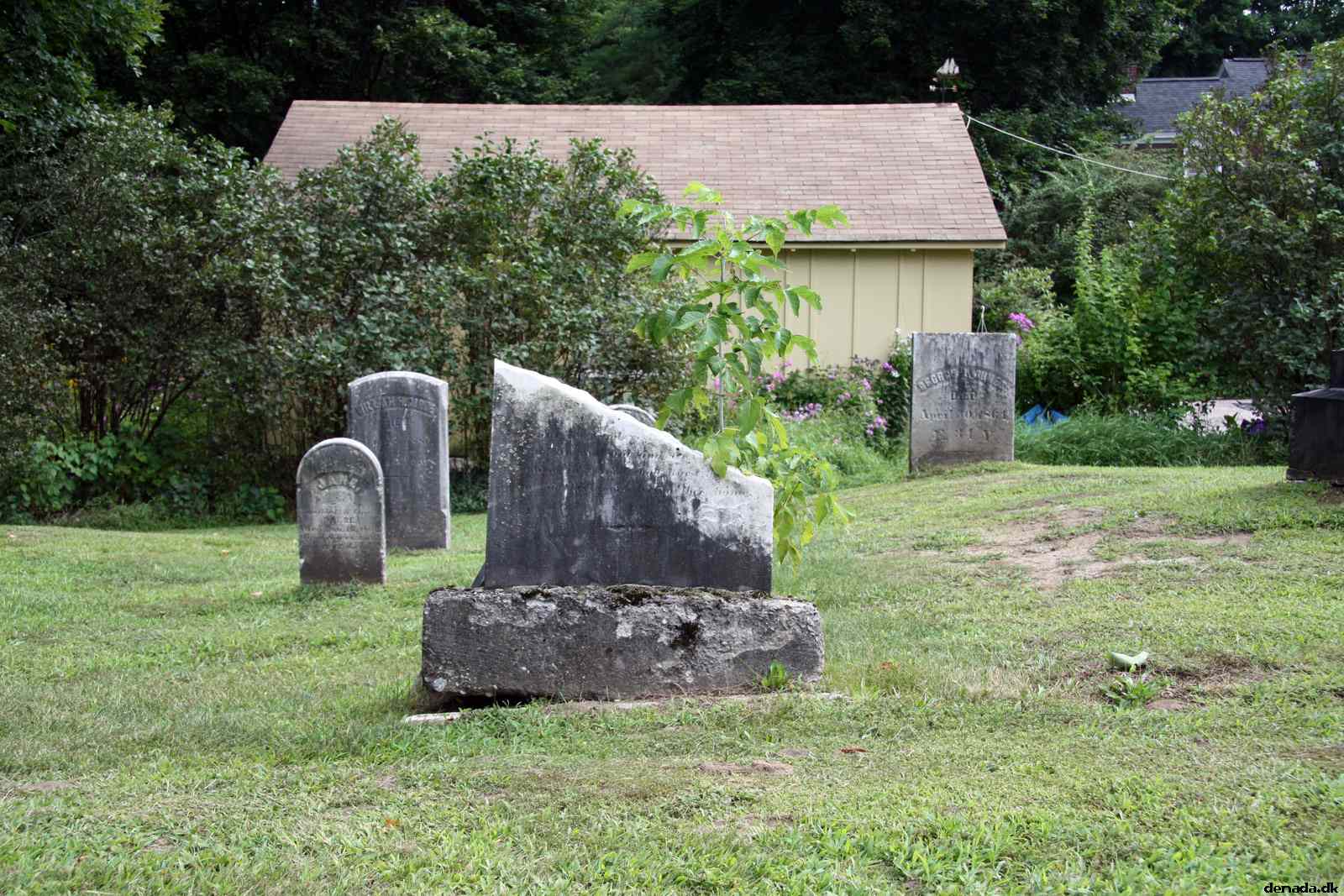 * Image 20