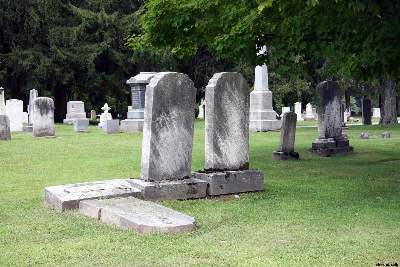 * Image 22