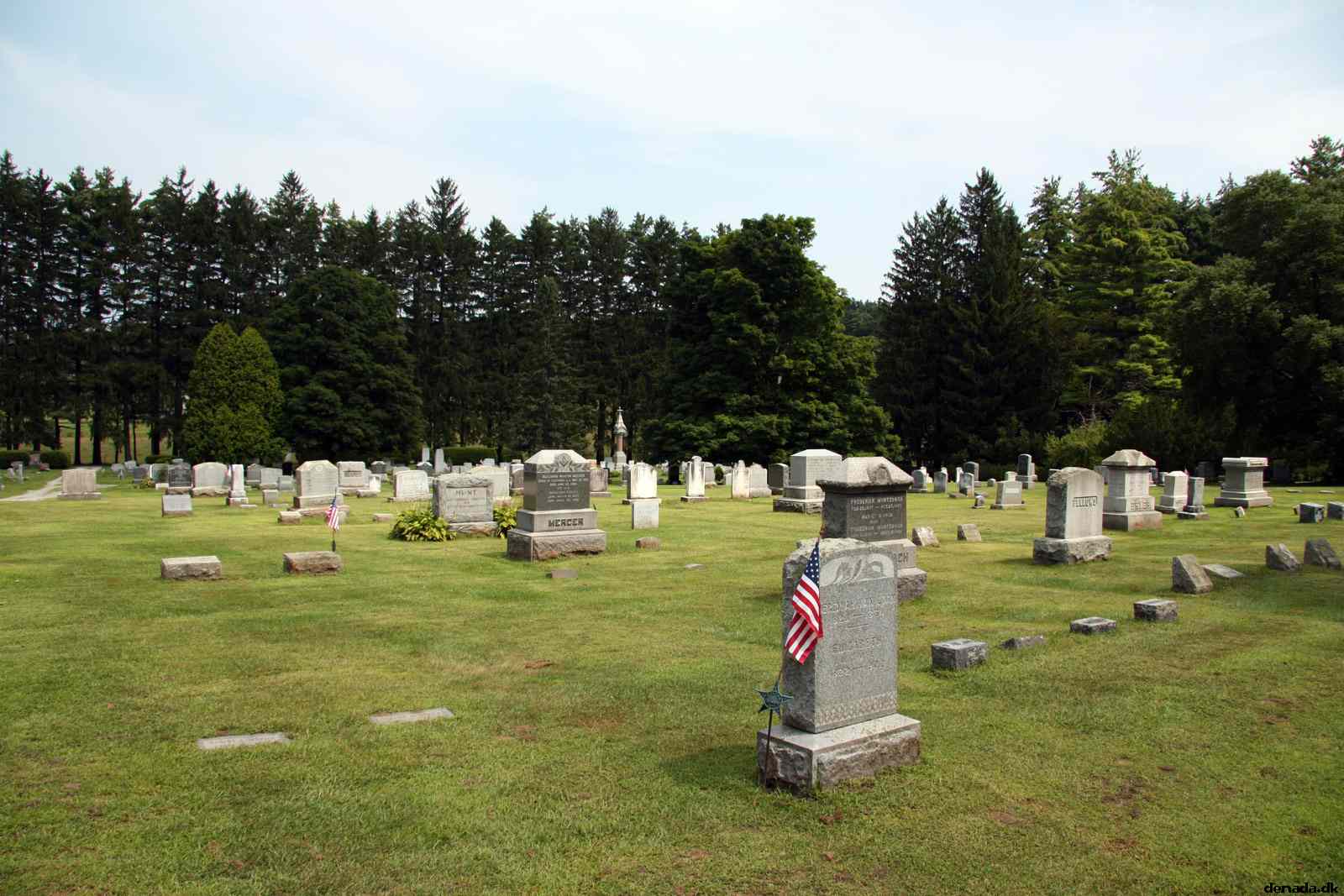 * Image 31