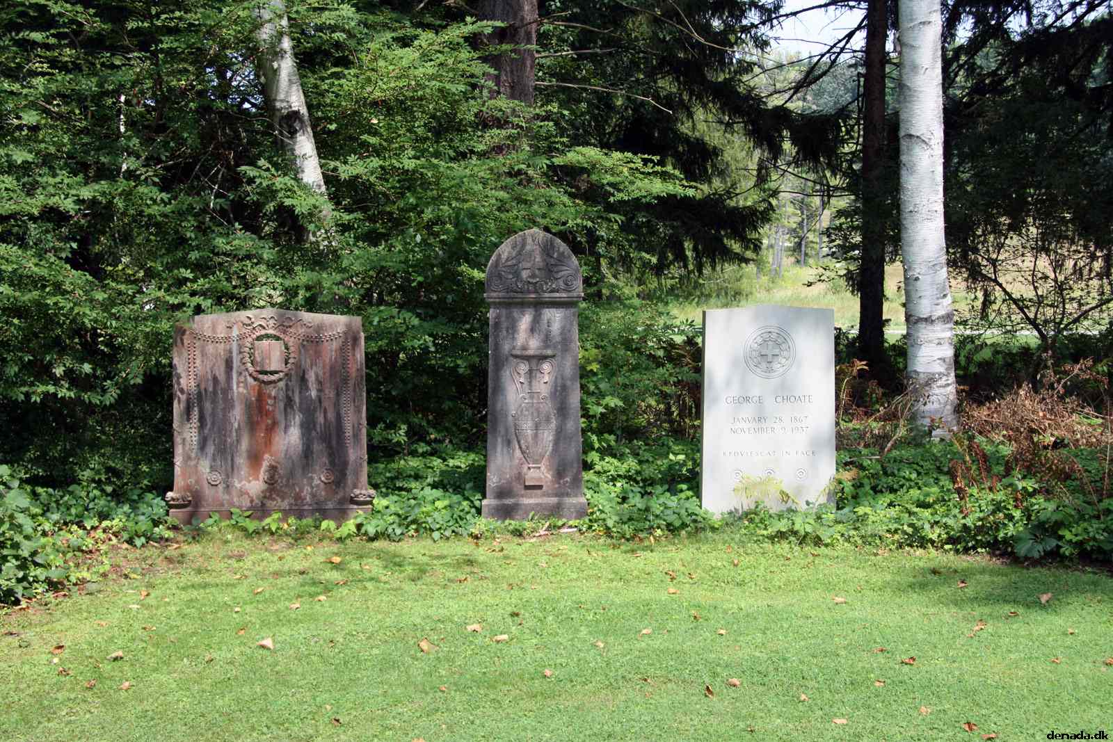 * Image 54